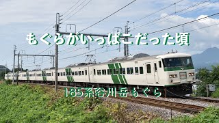 もぐらがいっぱこだった頃 -  185系谷川岳もぐら #谷川岳もぐら #185系 #いっぱこ #回9750M #9073M #JR東日本 #上越線 #鉄道動画
