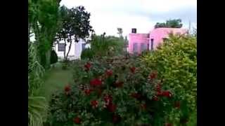 07042015(001).mp4