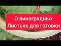 Пару слов о виноградных листьях для готовки.