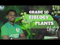 Grade 10 Biology Unit 2 : 2.3 Structure and Functions of plant parts part 2 | LucyBridgeAcademy |