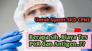 Daftar Harga Tes PCR dan Swab Antigen Terbaru, Berlaku Sejak 17 Agustus 2021