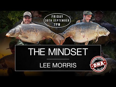 THE MINDSET RETURNS