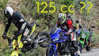 2019 Yamaha R3 riding with Two Kawasaki z125 and a Honda Grom