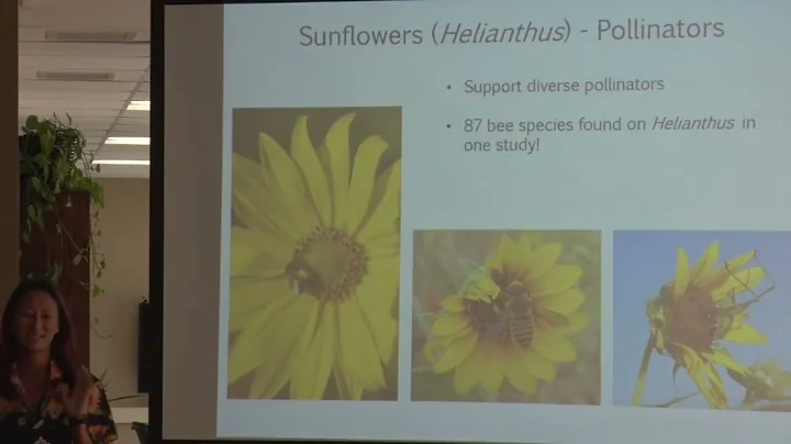 "Diversity of Native Wiscon-sunflower...  by Dr. N...