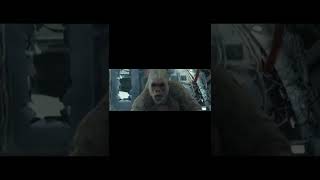 Movie Short Short White Gorilla Hypnotize Gamerz Short