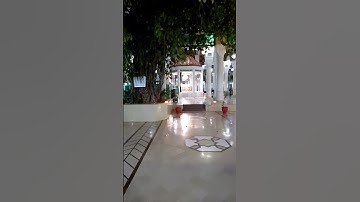 أَلَا إن أولياء الله لاخوف عليهم ولا هم يحزنون 🏵️ سورة يونس - الآية 62 قران الكريم 🌺
