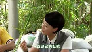 【草根菩提】預告 - 20140919 - 368出去走走 - 梅山尋奇