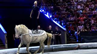 Репетиция в Большом Московском Цирке   часть первая Лошади и наездники
