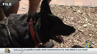Iowa takes FDA ruling on dogs, restaurants in stride