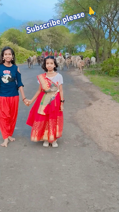 Kabutari Bolep Kabutar Se #shorts #sdmandal #dance