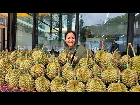 CAMBODIA TRIP 2024: Ep.03--Khmer Tropical Fruits