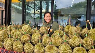 CAMBODIA TRIP 2024: Ep.03Khmer Tropical Fruits