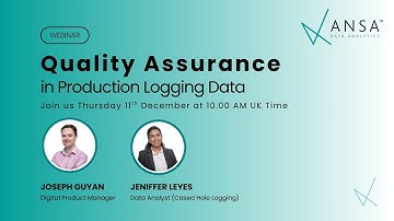 Quality Assurance in Production Logging Data