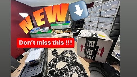 NEW SNAKE UNBOXING - Chocolate, Redstripe Clown Ball Python By  - Rice Reptiles -