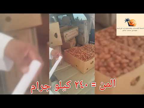 من تمر خلاص الأحساء ب ١٢ الف ريال اليوم الثلاثاء الموافق ٣ اكتوبر ٢٠٢٣