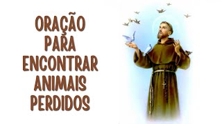 PODEROSA Oração Para Encontrar Animais Perdidos - São Francisco de Assis