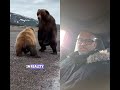 #fastest#fearless#strongestbattlegrounds#strong#attraction#animals#grizzlieshighlights#blackbears