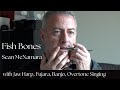 "Fish Bones" with Jaw Harp Fujara Banjo Overtone singing by Sean McNamara