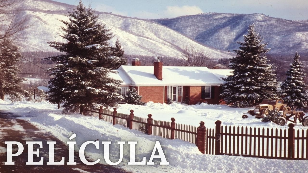 ¡Una película conmovedora! 💕 Una noche casual bajo el mismo techo encendió sentimientos apasionados