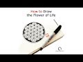 How to Draw the Flower of Life (7 Steps)