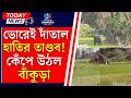 জয়পুর রেঞ্জে দাঁতাল হাতির তাণ্ডবে আতঙ্কে গ্রামবাসী! | Elephant Attack in Joypur Range! | VOB