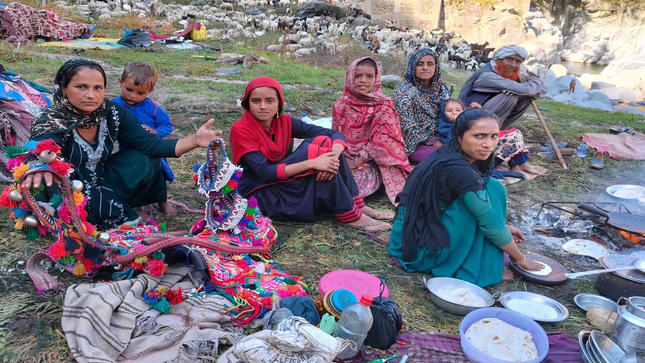 Beautiful Stories Of Nomads♥️ Who Lives In Mountain During Summer Season At 🥰 Jammu Kashmir 