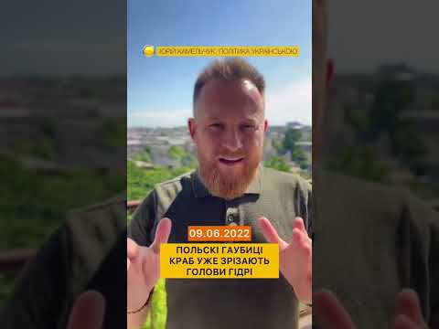 Польські гаубиці Краб
