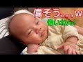産まれて時から態度がデカい息子。。。ｗ