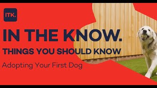 Things you should know before you adopt your first dog