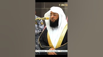 تلاوه خاشعه فضيلة الشيخ بدر بن محمد التركي  -حفظه الله #المصحف ،تلاوه رائعه