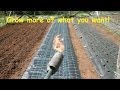 Fabric For Landscape Vegetable Garden