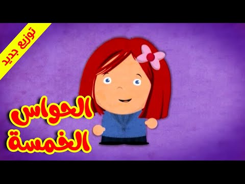 الحواس الخمسة توزيع جديد طيور بيبي  