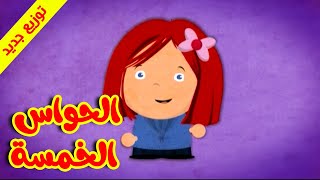 الحواس الخمسة (توزيع جديد) - طيور بيبي Toyor Baby