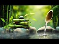 Relaxing zen music 247  bamboo relaxing music meditation music peaceful music nature sounds