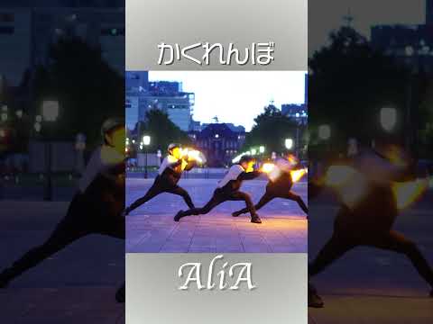 AliA かくれんぼ 朝日とヲタ芸の相性 チャンゴ はら 虎 Shorts 