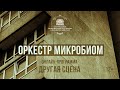 Оркестр Микробиом