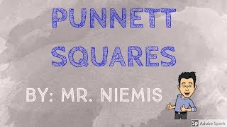 Mr. Niemis' Flipped Lessons - Punnett Squares (Old Version)
