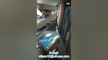 M5235 single servo motor vertical packing machine trial testing operation video from Wilpac