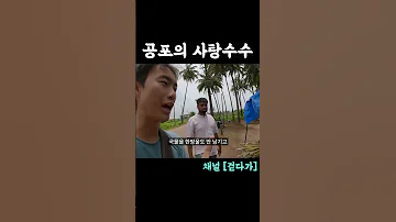 공포의 인도식 사탕수수 