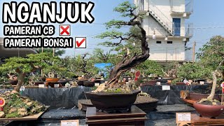 INSPIRASI BONSAI KONTES/PAMERAN