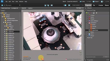 Using star ratings for photo with Adobe Photoshop Elements 10