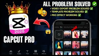 Best Way To Fix Capcut No Internet Connection Problem | Capcut 15.6.0 No Int...