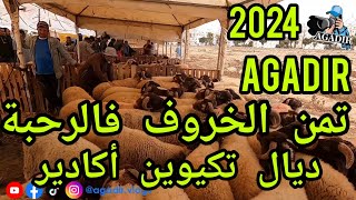 جولة لإستكشاف أتمنة أضحية العيد بتكيوين في مدينة أكادير قرب حي أدرار AGADIR MOROCCO 2024