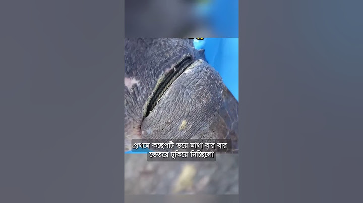 সমুদ্রের মাঝখানে এ ঘটনা না দেখলে বিশ্বাস করা অসম্ভব!🤯😳 #Mayajaal #unknownfacts #Sharks #viralshort