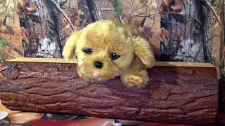 Little Live Pets - Snuggles My Dream Puppy