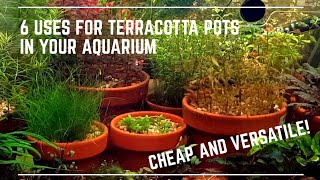 6 Uses for Terracotta Pots in Your Aquarium