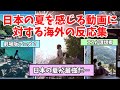 【海外の反応】日本の夏を感じる動画に対する海外の反応まとめ