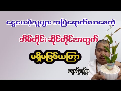 အိမ်တိုင်းဆိုင်တိုင်းအတွက် မရှိမဖြစ် ငွေဝင်အစီရင်