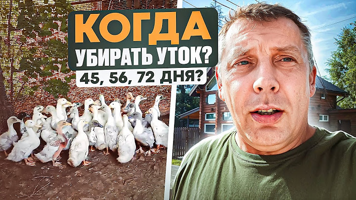ЭКСКЛЮЗИВ от фермера: идеальное время для забоя уток - 45, 56 или 72 дня? Смотрите! 🦆 #МоеПодворье