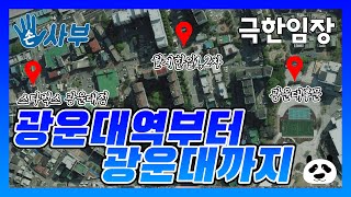[손사부 극한임장]광운대역부터 광운대까지